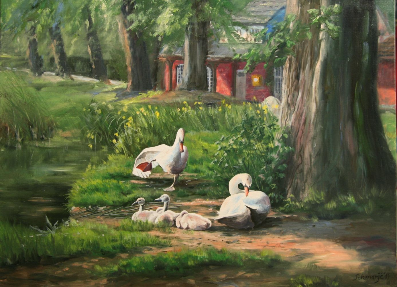 Appelbeck am See, Schwäne 60 x 80 cm