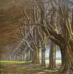 "Waldlandschaft, Ölgemälde 80 x 80 cm